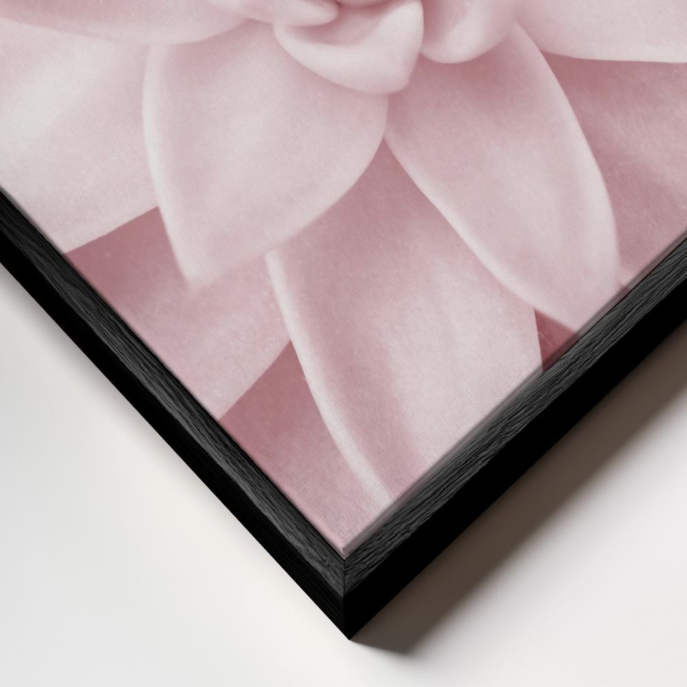 Canvas print - Pink Succulent frame close up - black frame