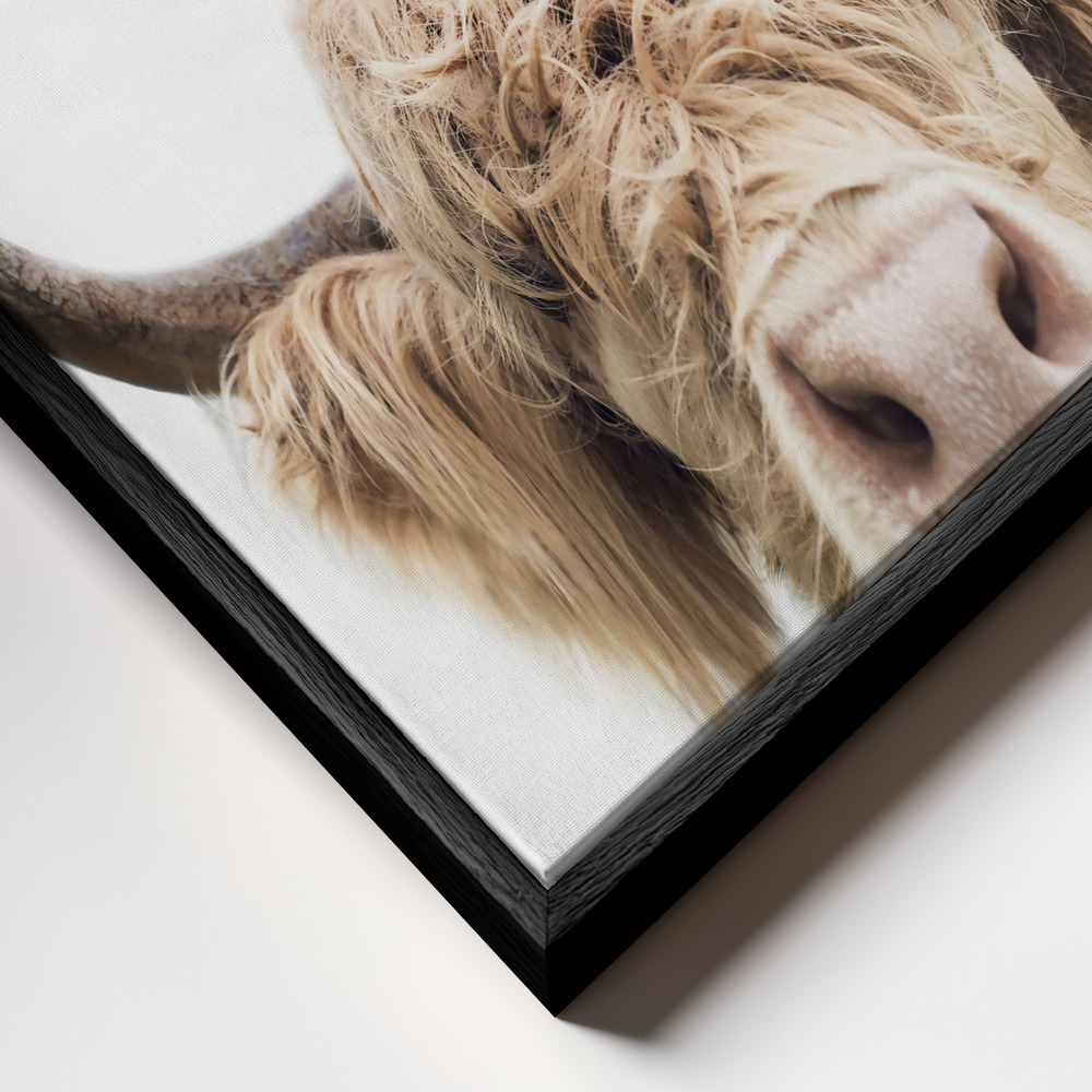 Toile - Peeking Cow cadre en gros plan - cadre noir