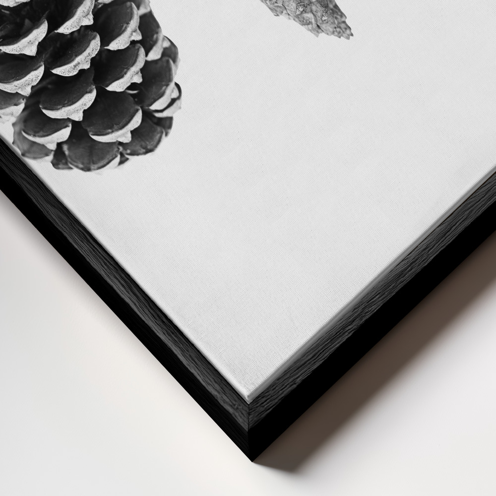 Obraz na płótnie - Pine Cone Study zbliżenie ramki - czarna ramka