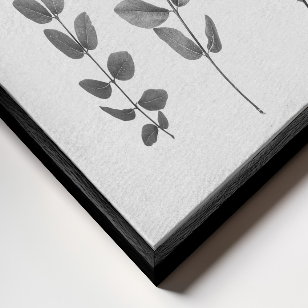 Canvas print - Twigs frame close up - black frame