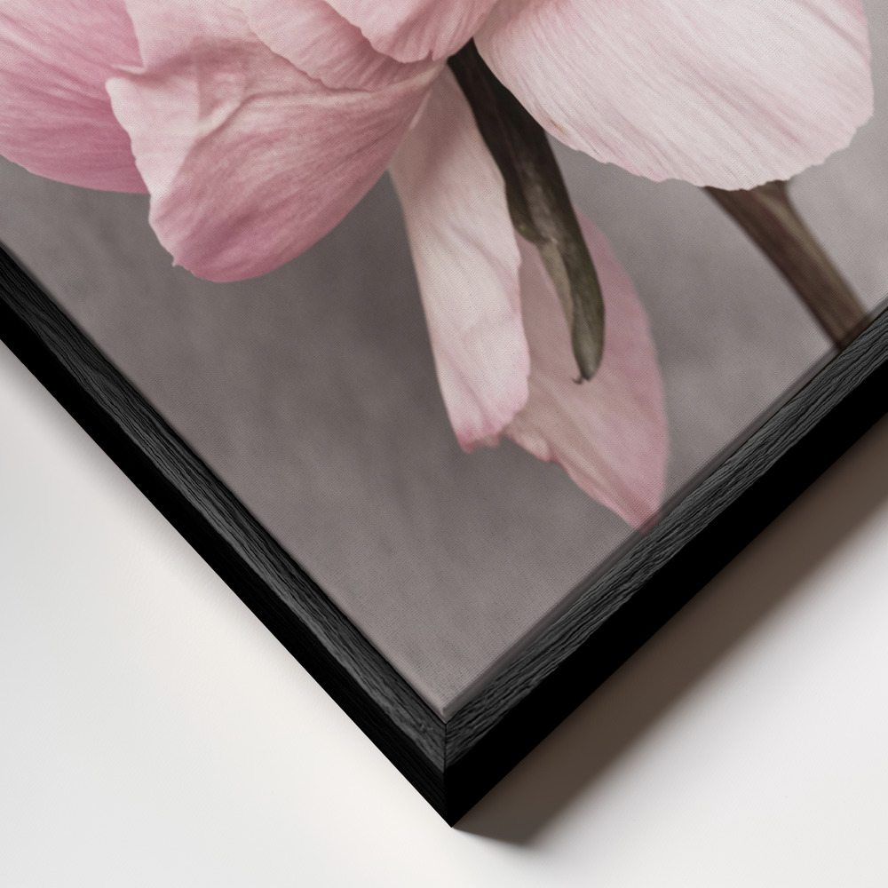 Canvas print - Peony frame close up - black frame