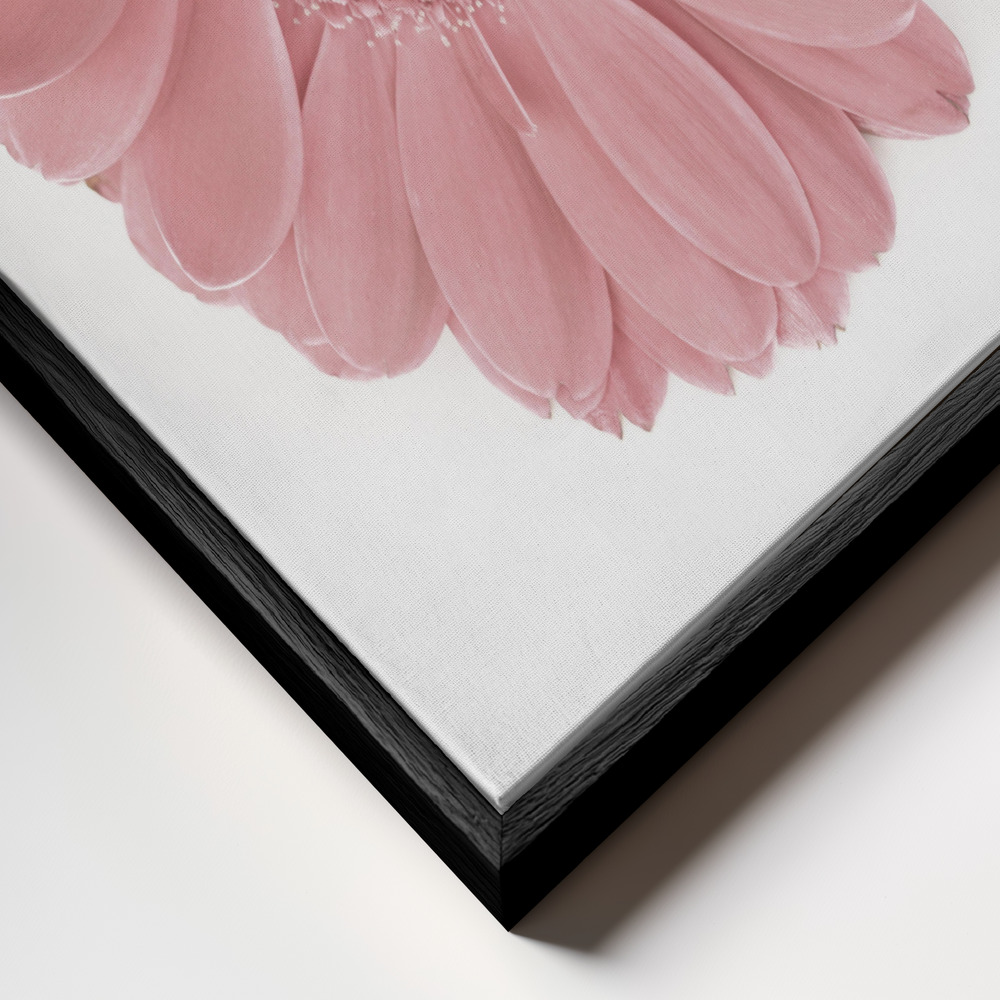 Canvas print - Pink Gerbera II frame close up - black frame