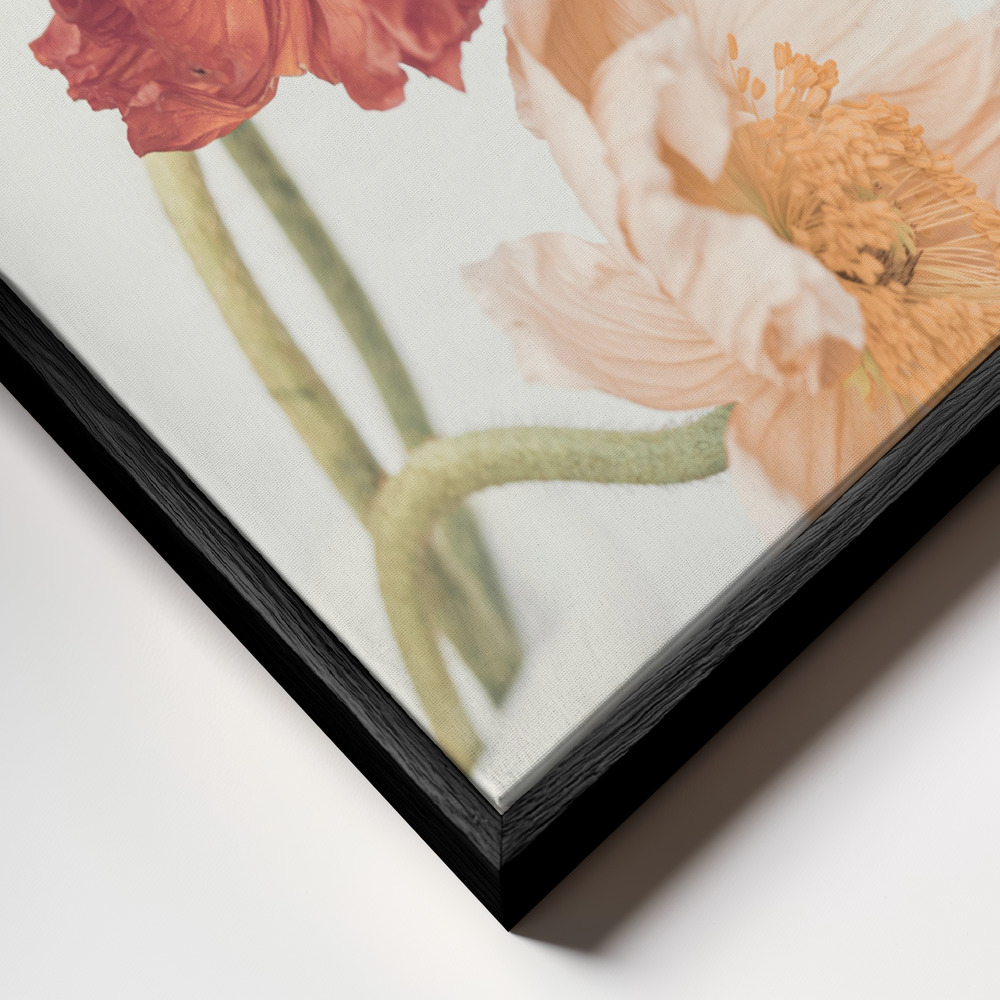 Canvas print - Poppies frame close up - black frame
