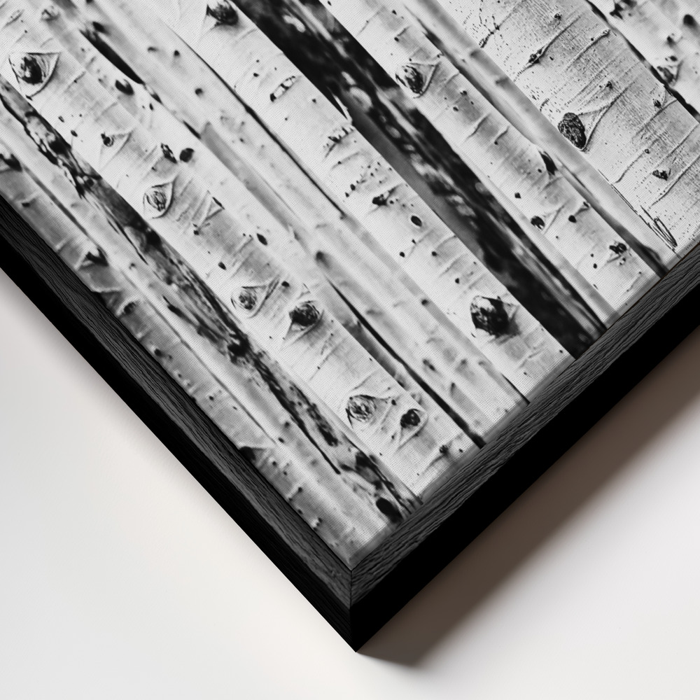Toile - Birches cadre en gros plan - cadre noir