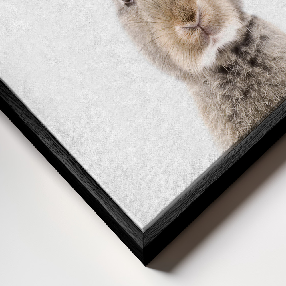 Lienzo - Baby Rabbit primer plano del marco - marco negro