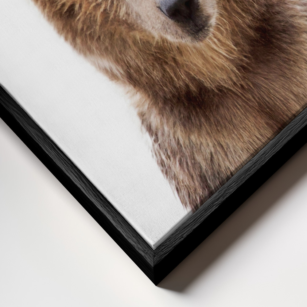 Toile - Baby Bear cadre en gros plan - cadre noir