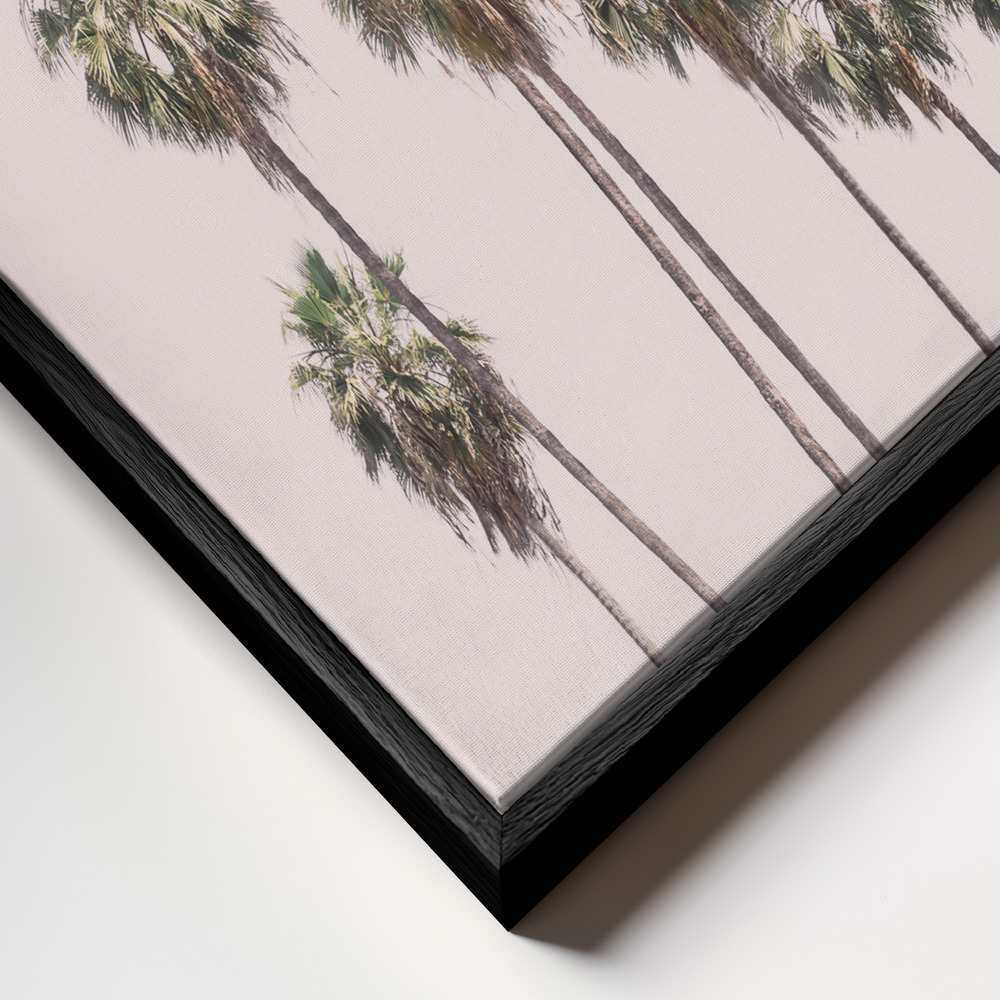 Toile - Blush Palms cadre en gros plan - cadre noir