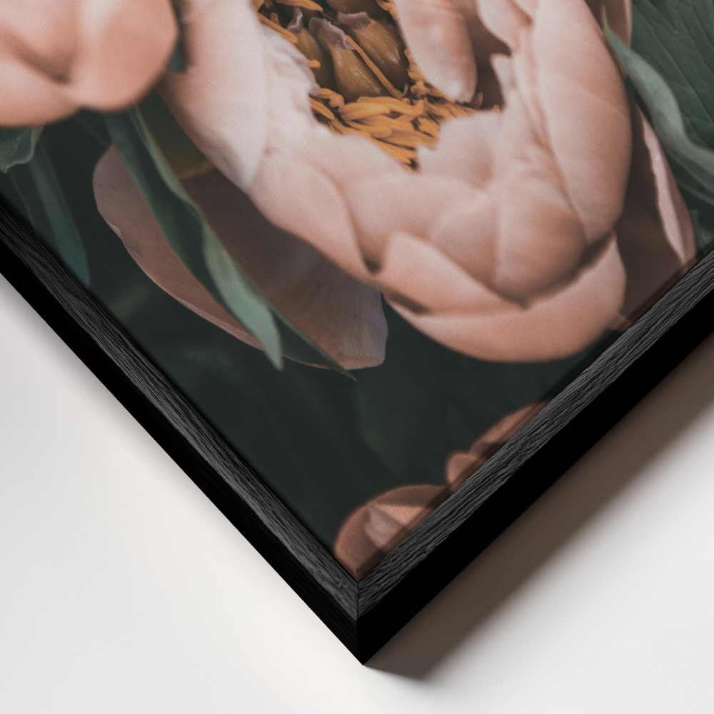 Canvas print - Coral Peonies frame close up - black frame