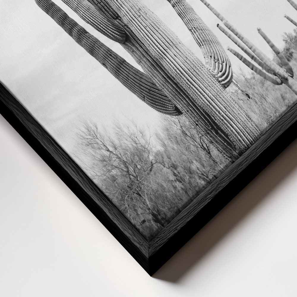 Canvas taulu - Saguaro B&W kehys lähikuvassa - musta kehys