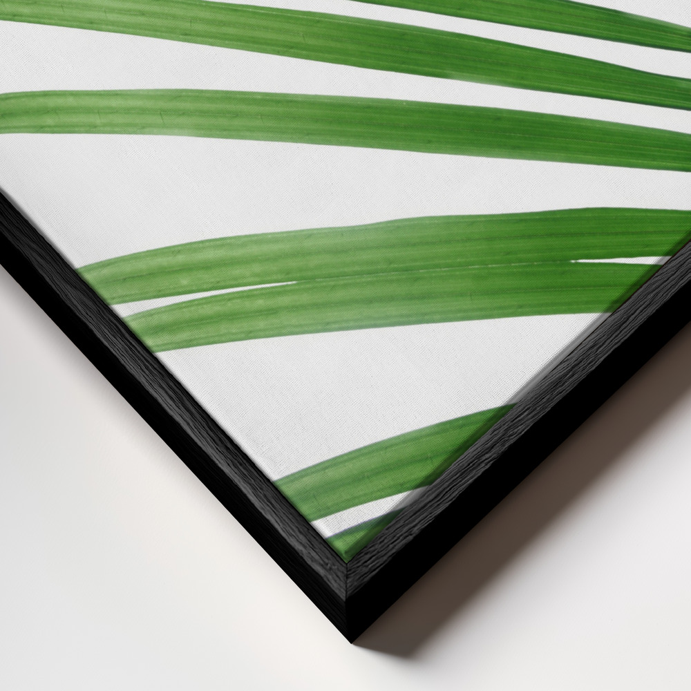 Obraz na płótnie - Green Palm Leaf zbliżenie ramki - czarna ramka