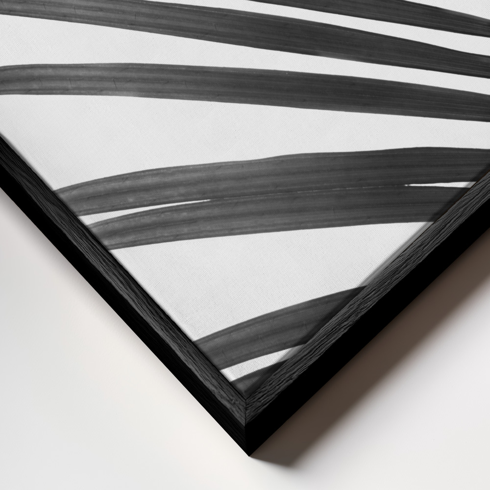 Canvas schilderi - BW Palm Leaf frame close-up - zwart frame