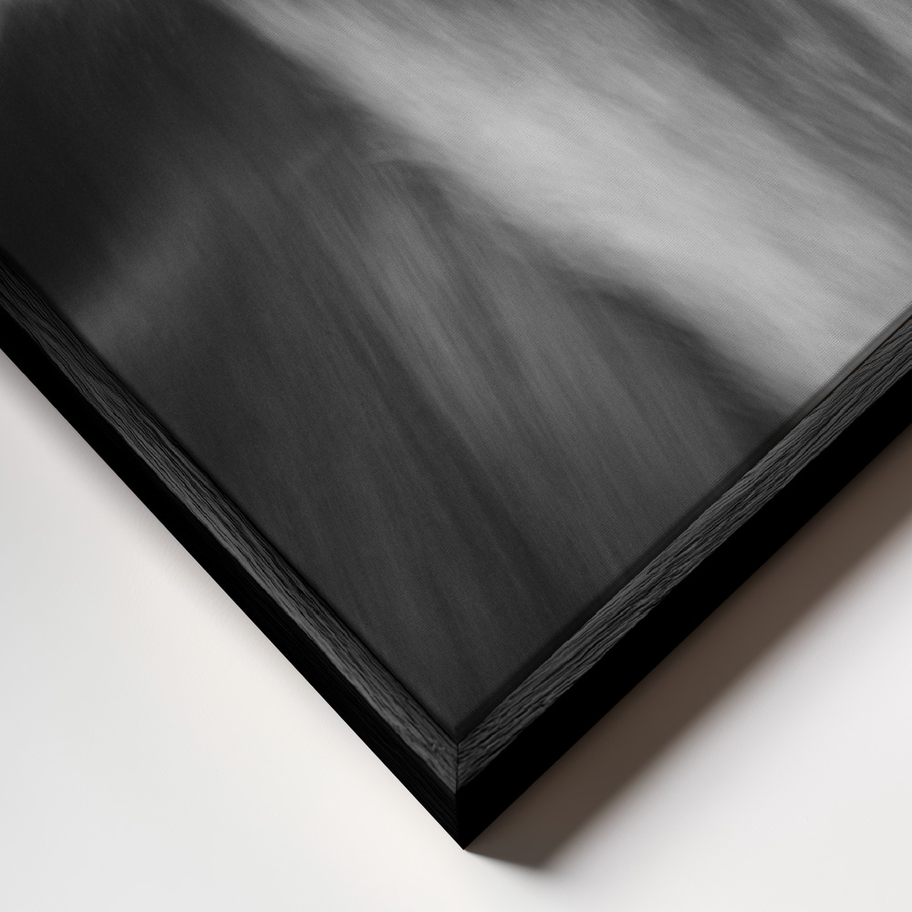 Canvas print - Double Impact frame close up - black frame