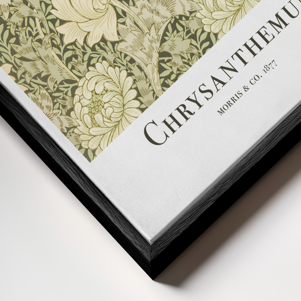 Canvas taulu - Chrysanthemum kehys lähikuvassa - musta kehys