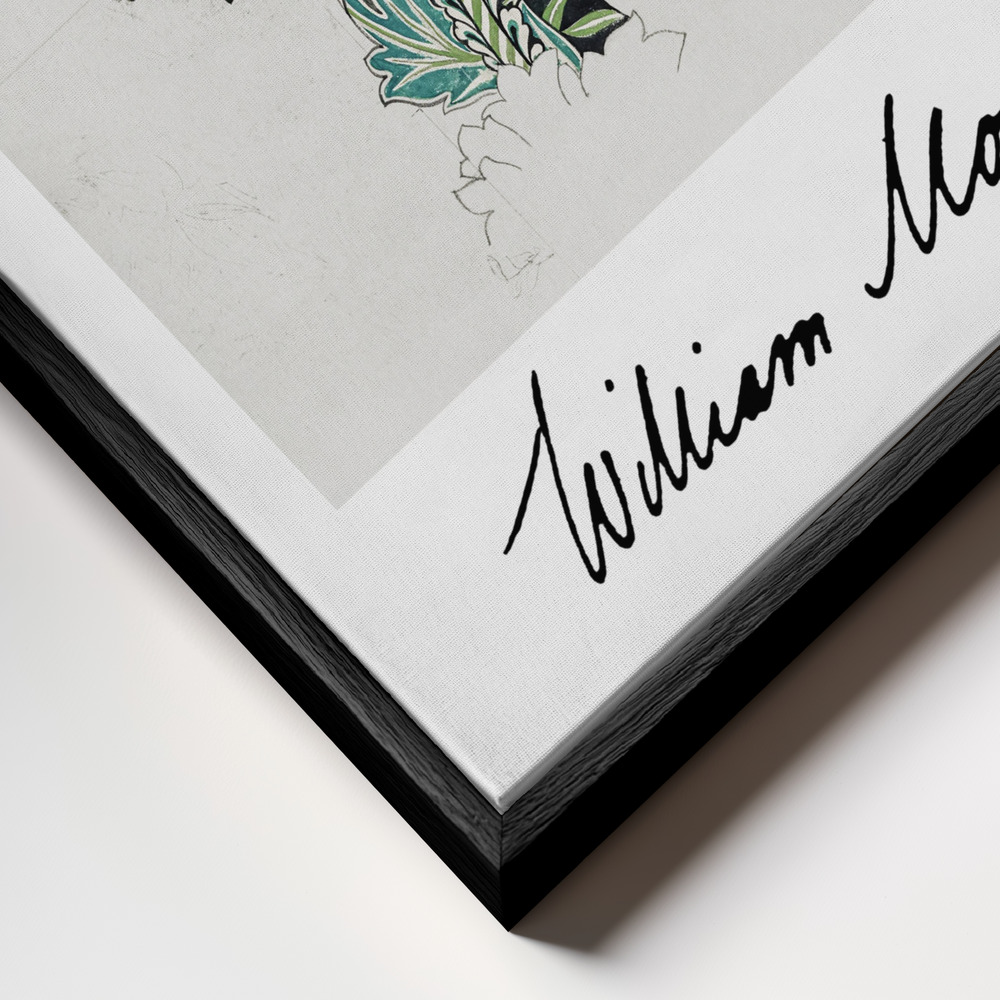 Canvas taulu - Anemone kehys lähikuvassa - musta kehys
