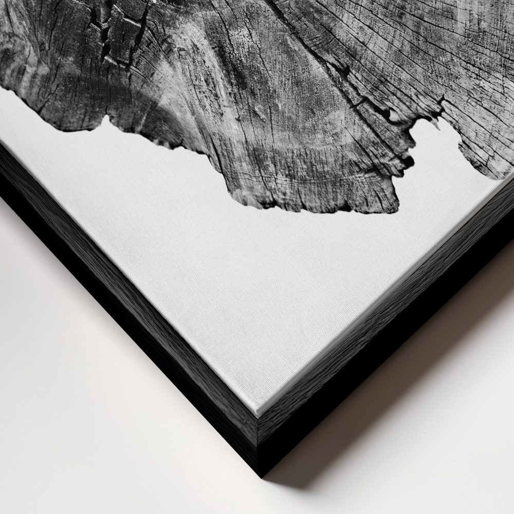 Canvas print - Oak Log frame close up - black frame