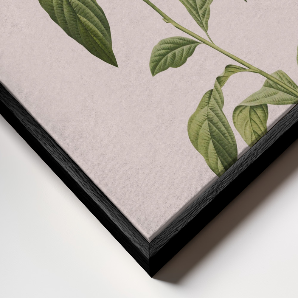 Stampe su tela - Botanical cycling primo piano della cornice - cornice nera