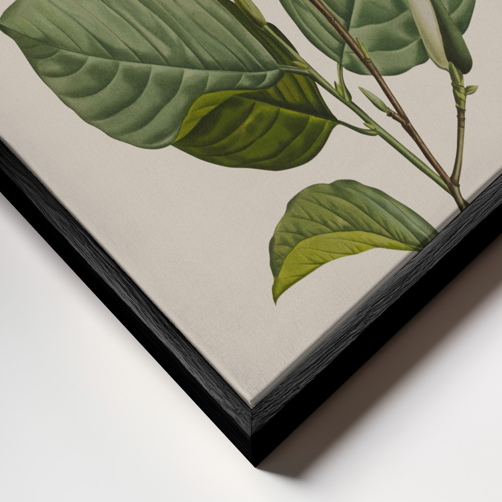 Canvas schilderi - Botanical vintage cameraman frame close-up - zwart frame