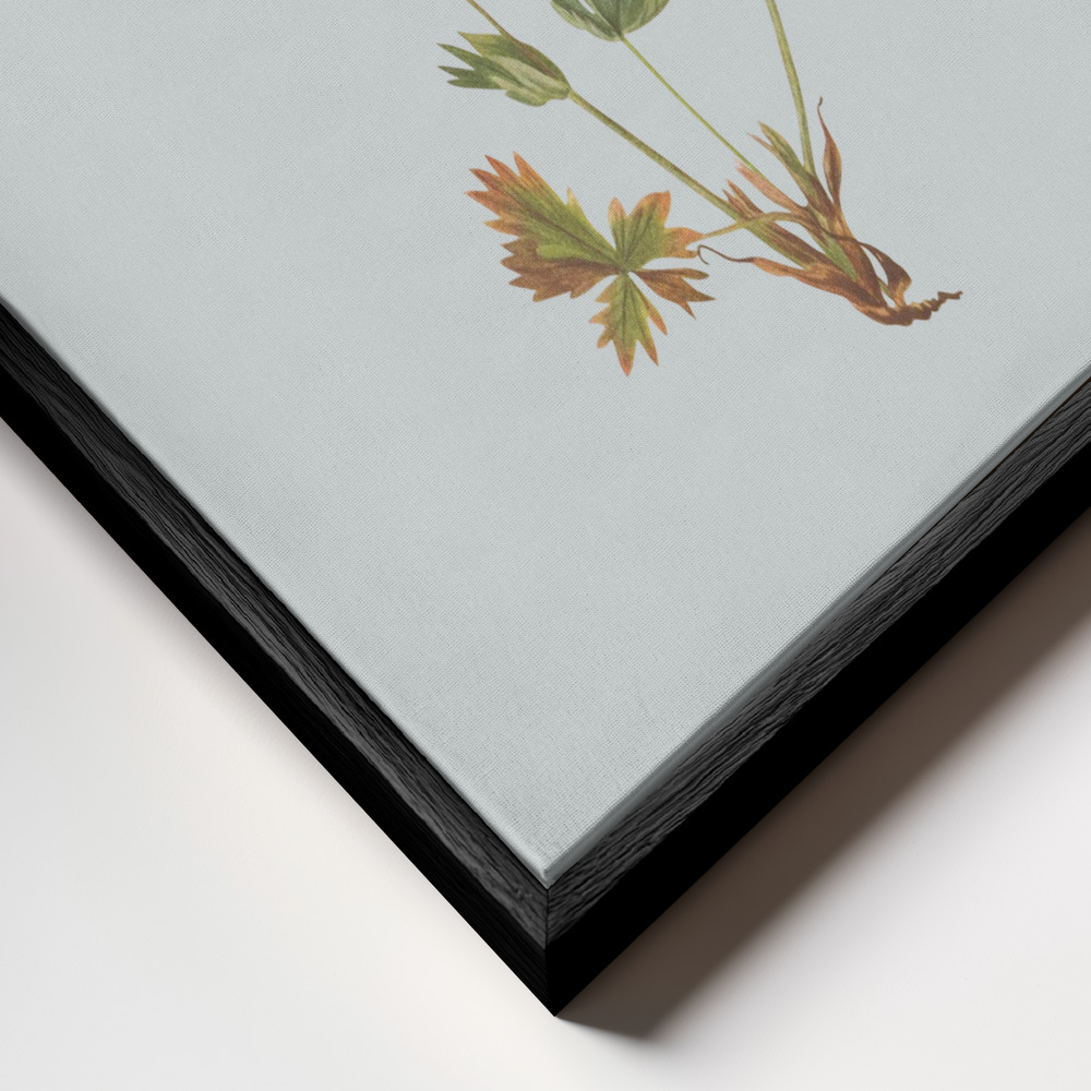 Canvas schilderi - Botanical vintage key frame close-up - zwart frame
