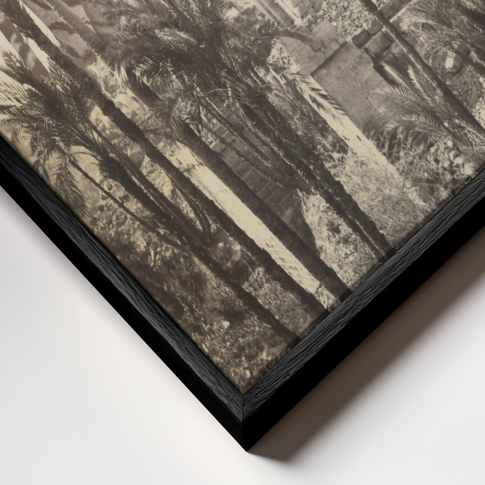 Lienzo - Giant Tiger In Ruins primer plano del marco - marco negro