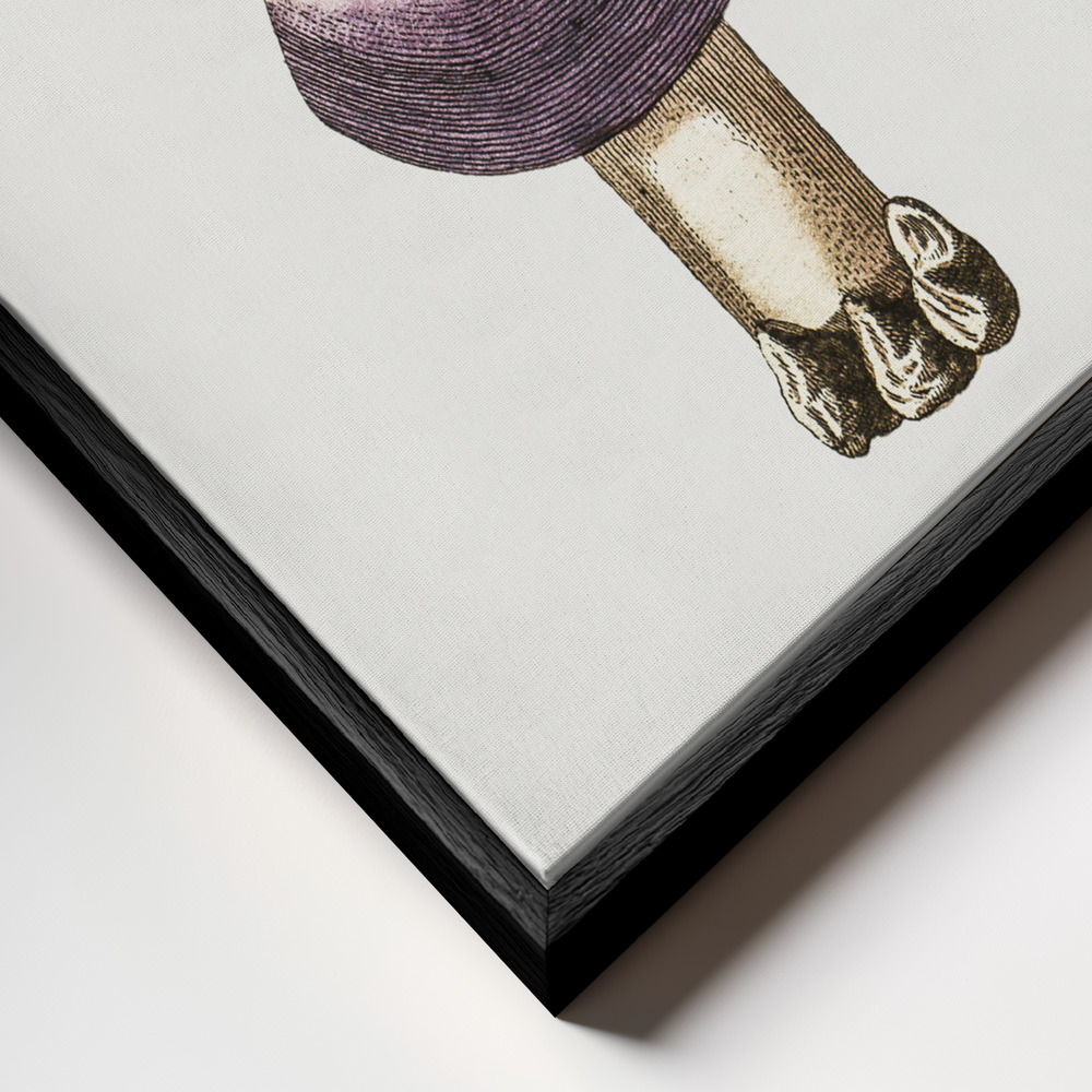 Canvas print - Hand Darwn Violet Webcap Mushroom frame close up - black frame