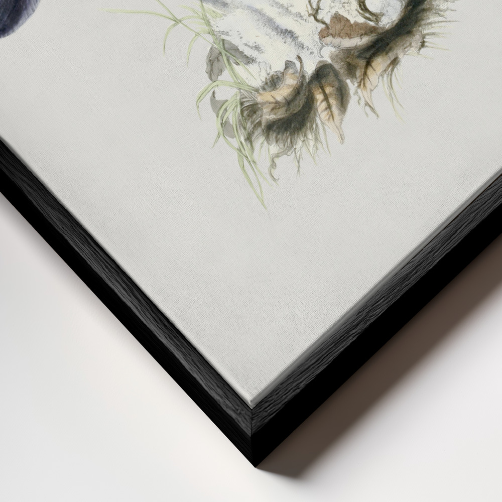 Canvas print - Vintage Violet Webcap Mushroom frame close up - black frame