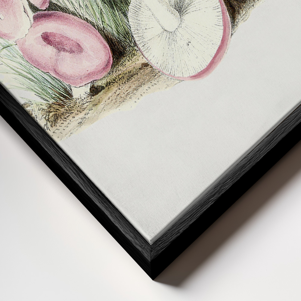 Canvas print - Vintage Russula Emetica Mushroom frame close up - black frame