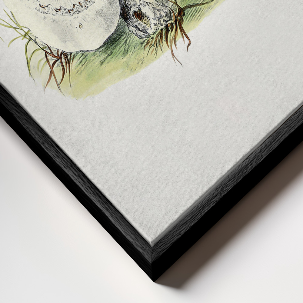 Canvas print - Hand Drawn Horse Mushroom Standing frame close up - black frame