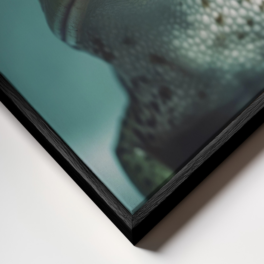 Canvas schilderi - Kiss The Frog frame close-up - zwart frame