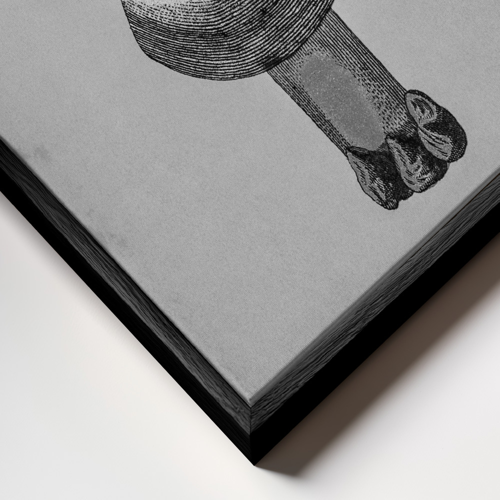 Canvas print - Violet Webcap Mushroom frame close up - black frame