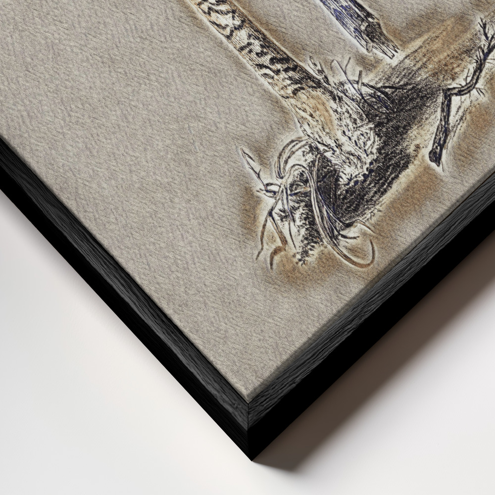 Toile - Hand Drawn Parasol Mushroom Brown cadre en gros plan - cadre noir