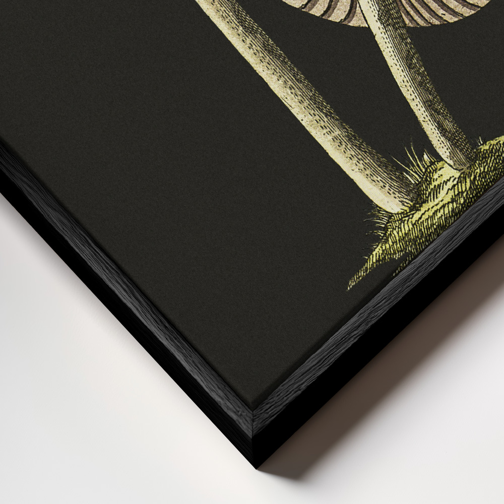 Canvas print - Vintage Inky Cap Edible Mushroom Black Background frame close up - black frame