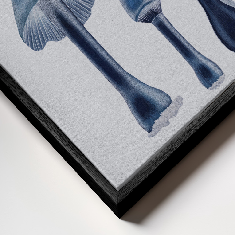 Stampe su tela - Agaricus Bulbosus - Blue primo piano della cornice - cornice nera