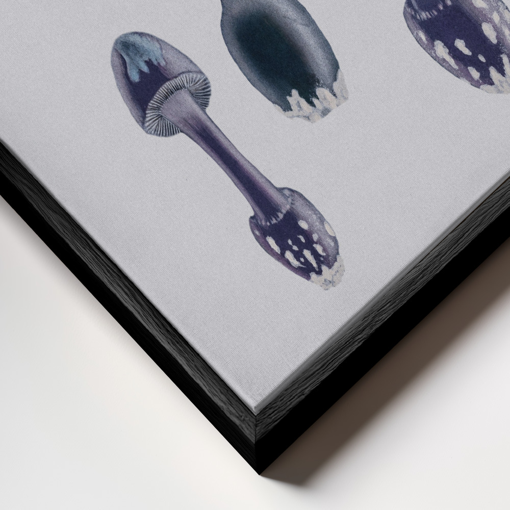 Stampe su tela - Amanita Muscaria White Backgound Purple primo piano della cornice - cornice nera