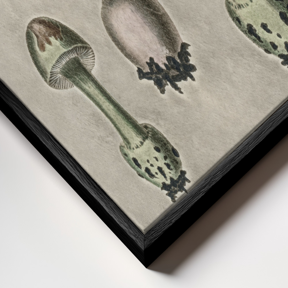 Stampe su tela - Amanita Muscaria Remix Green primo piano della cornice - cornice nera