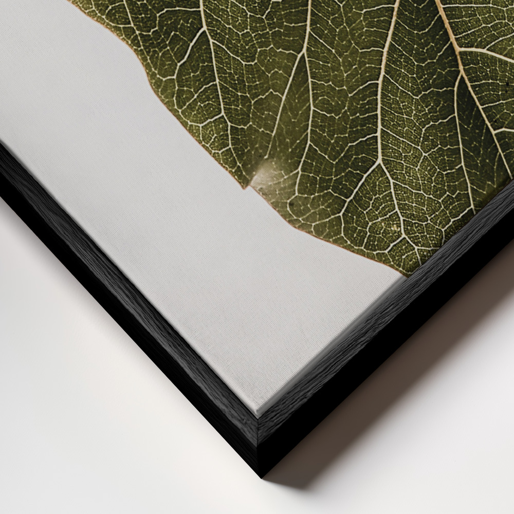 Canvas schilderi - Abutifolia No2 frame close-up - zwart frame