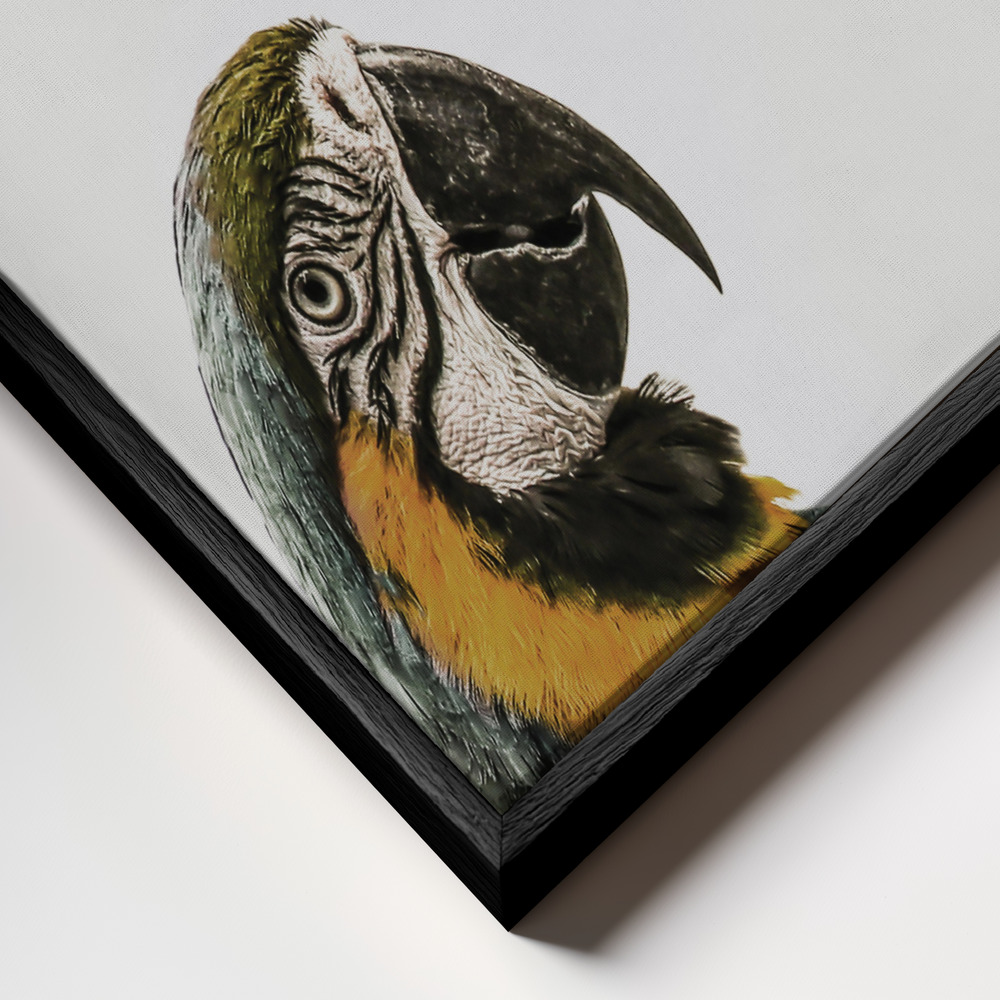 Toile - Amazonia cadre en gros plan - cadre noir