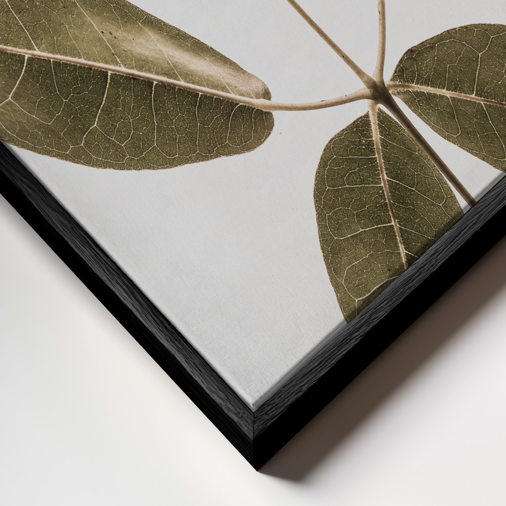 Canvas schilderi - Autum Leaf frame close-up - zwart frame