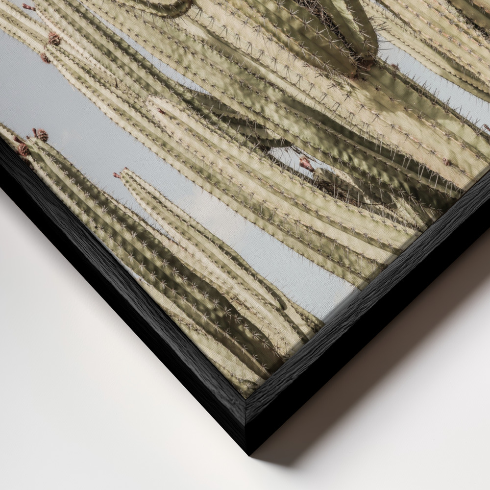 Canvas schilderi - Desert Cathedral frame close-up - zwart frame