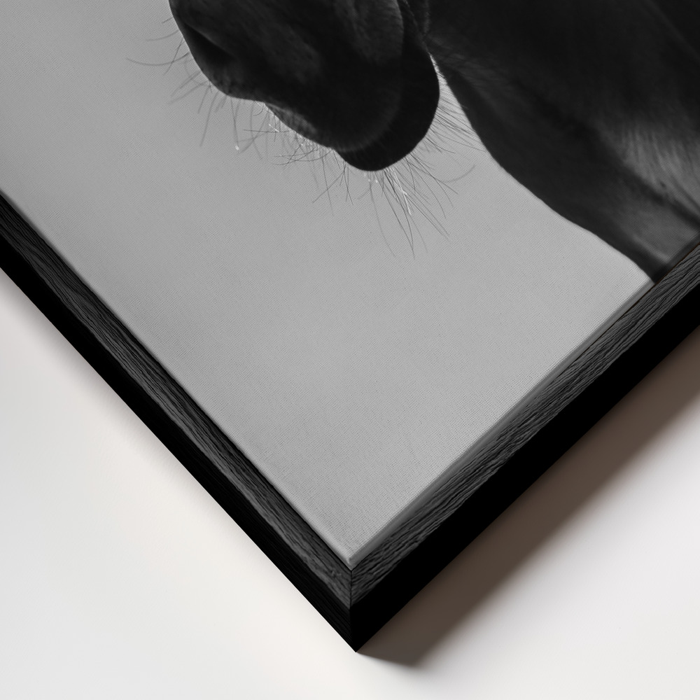 Toile - Donks cadre en gros plan - cadre noir