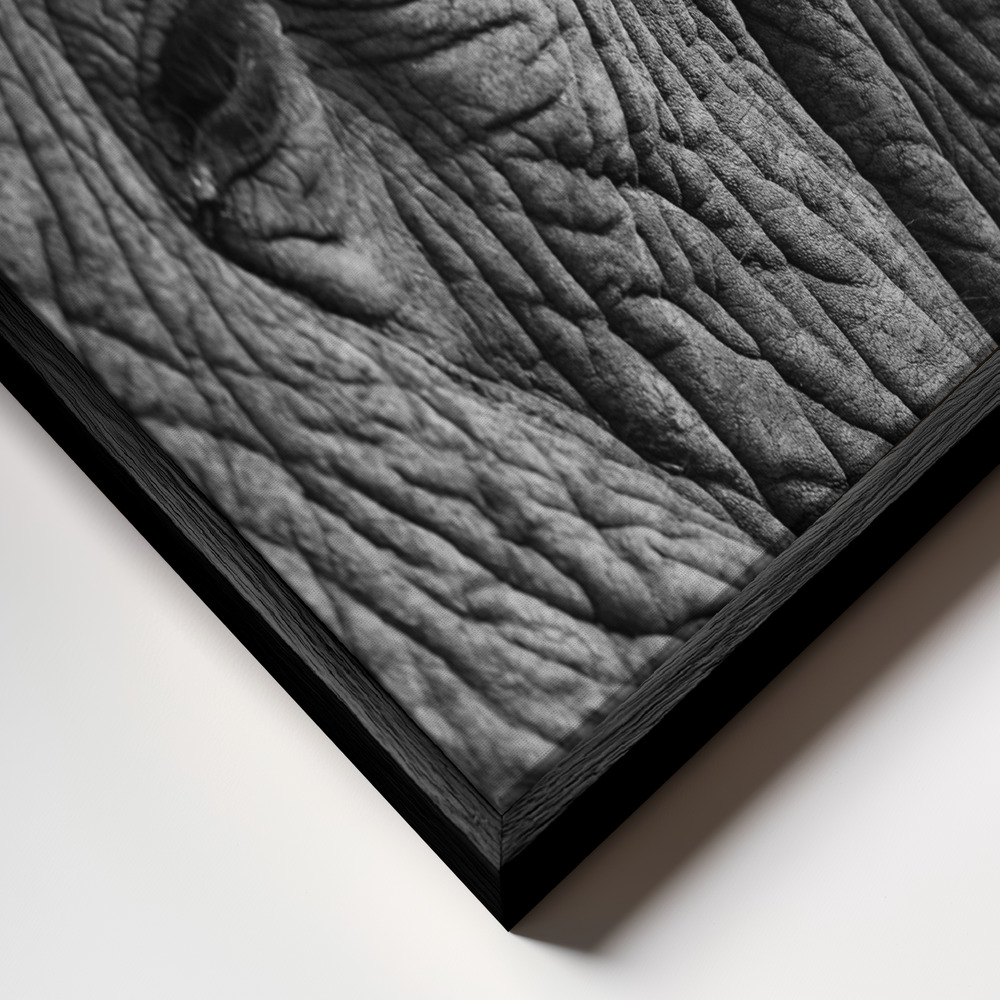 Canvas schilderi - Elephant Study frame close-up - zwart frame