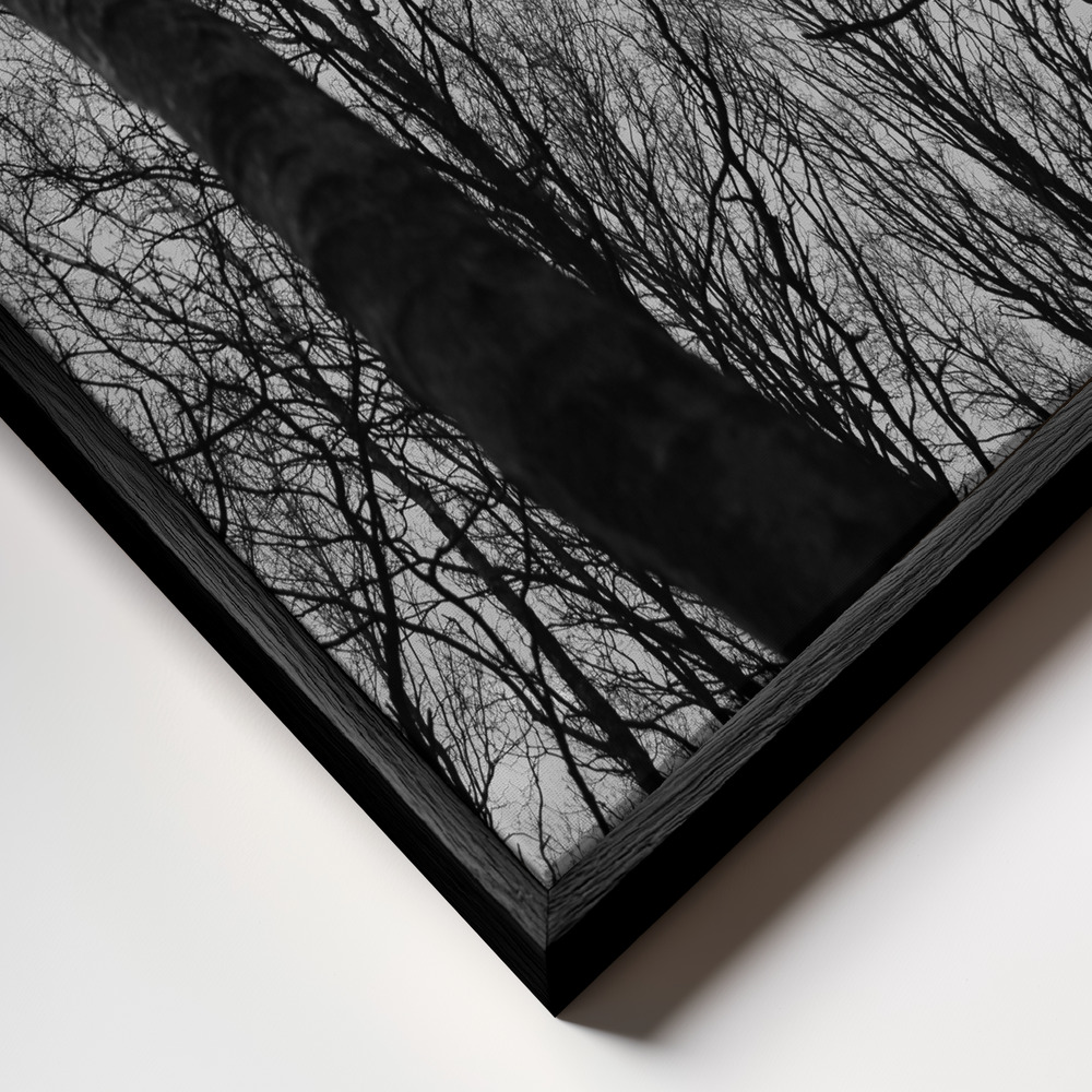 Lienzo - Everglades primer plano del marco - marco negro