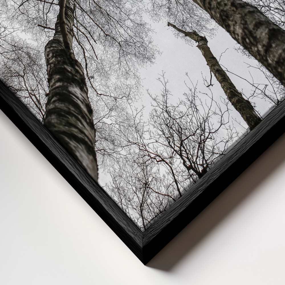 Canvas taulu - Forest No1 kehys lähikuvassa - musta kehys