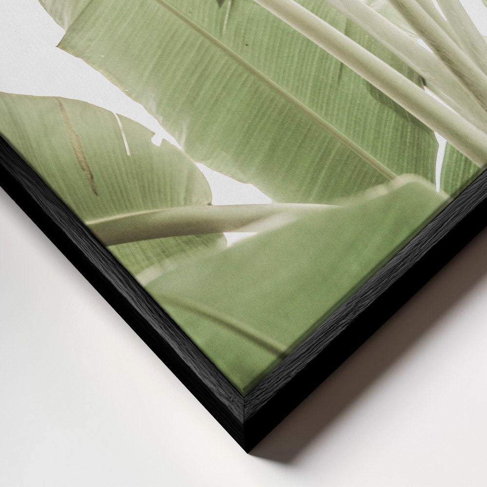 Canvas schilderi - Full Bloom frame close-up - zwart frame