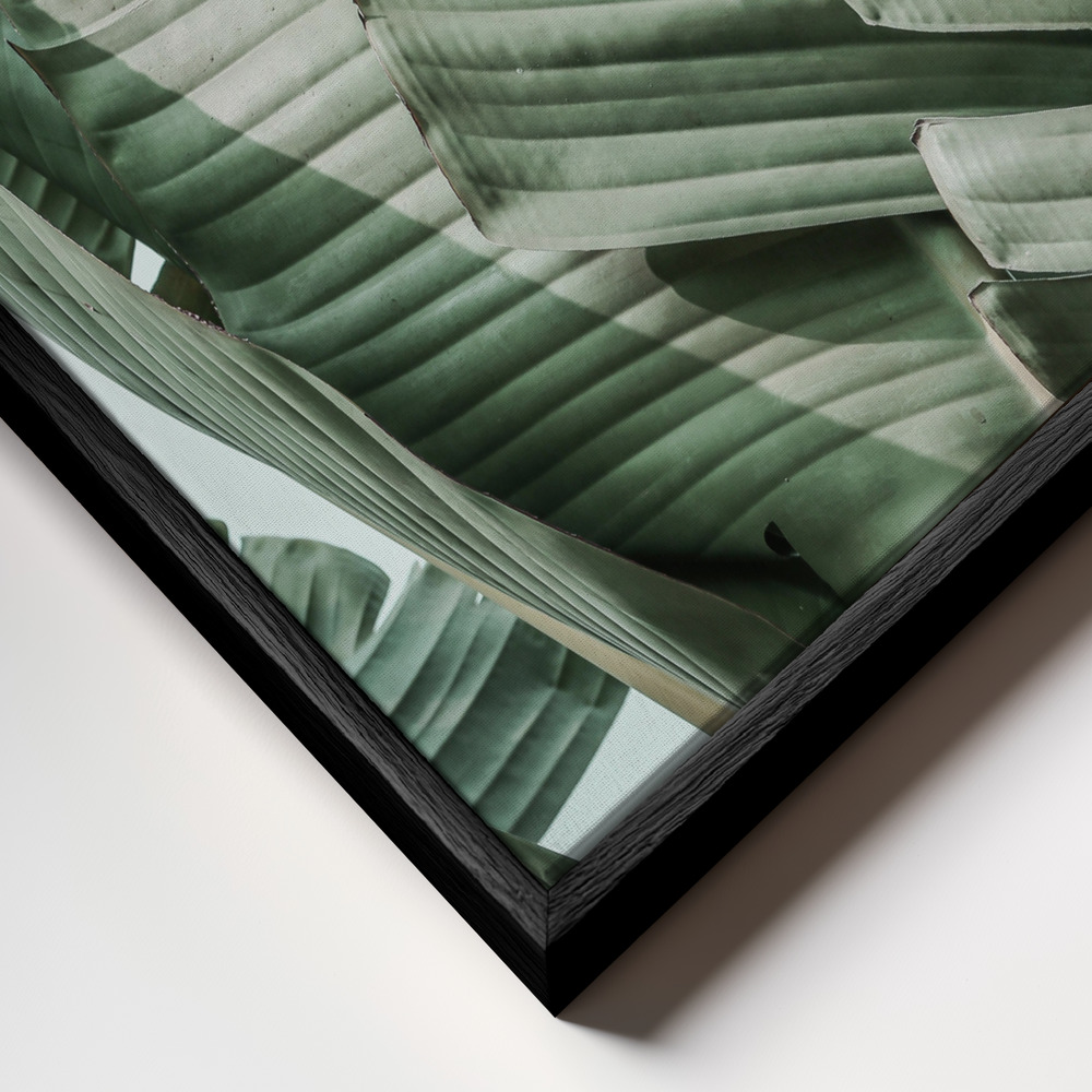 Canvas print - Garden Gangsta frame close up - black frame