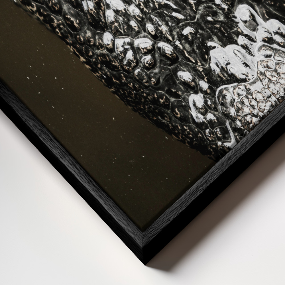 Canvas print - Gator frame close up - black frame
