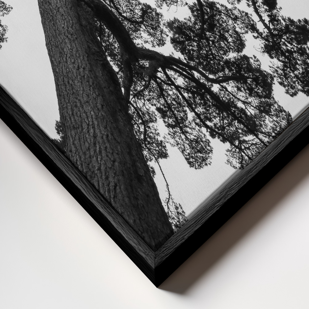 Canvas print - Japanese Garden 02 frame close up - black frame