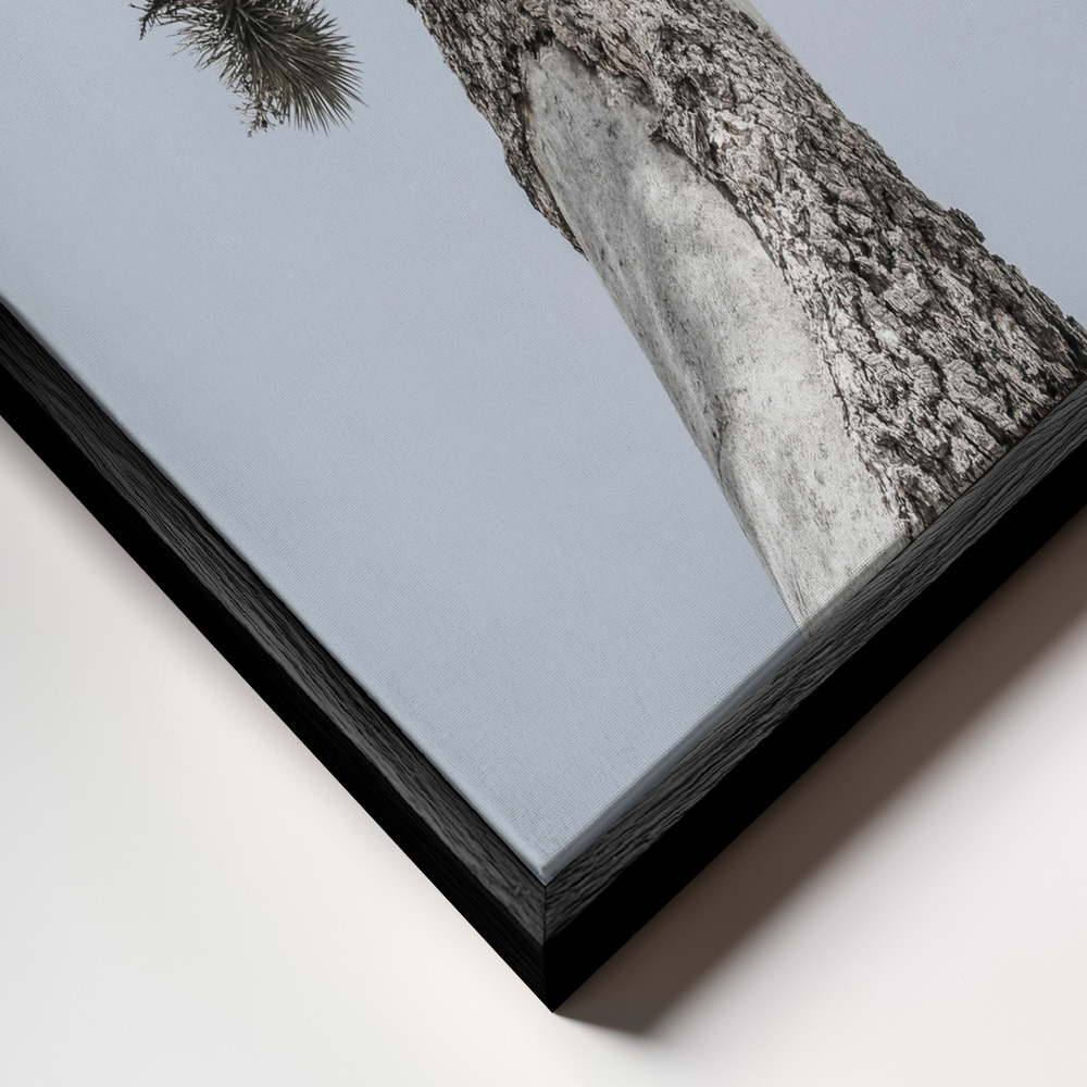 Canvas print - Joshua frame close up - black frame