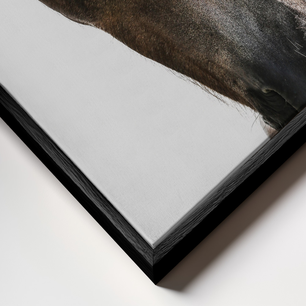 Leinwandbild - Kalimazoo rahmen Nahaufnahme - schwarzer Rahmen