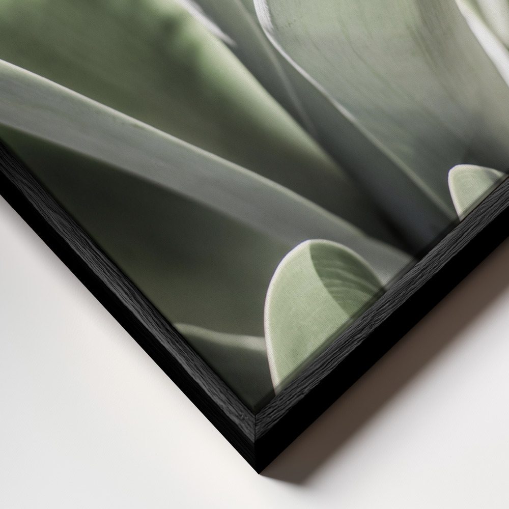 Canvas schilderi - Karro Bloom frame close-up - zwart frame