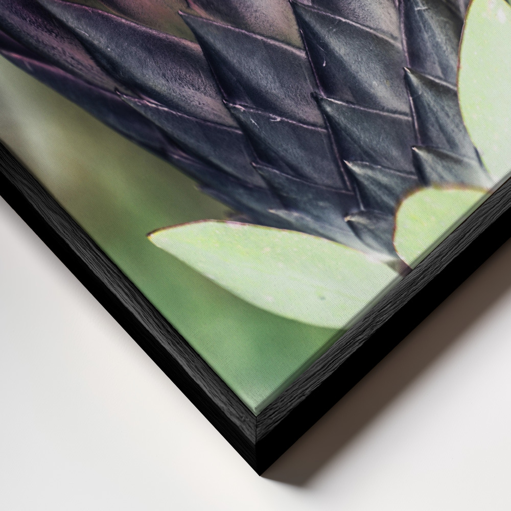 Canvas print - King Protea 01 frame close up - black frame